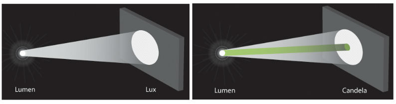 термины 3.jpg